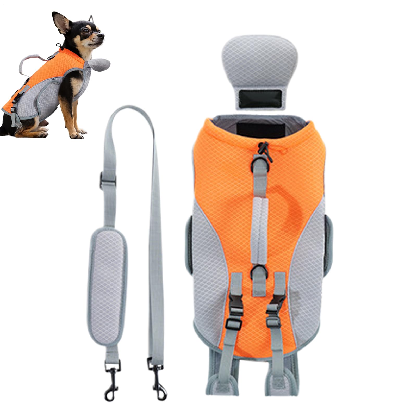 Gilet rafraîchissant pour chien pour éviter la déshydratation en voyage