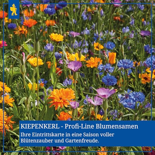 Profiline 4000159049451 Kiepenkerl Blumenmischung Bauerngarten