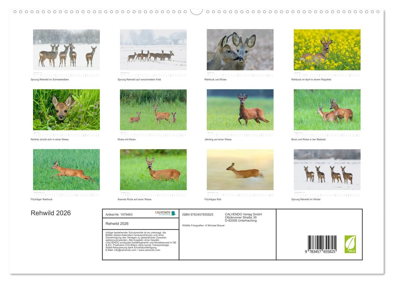 Rehwild 2026 (hochwertiger Premium Wandkalender 2026 DIN A2 quer), Kunstdruck in Hochglanz