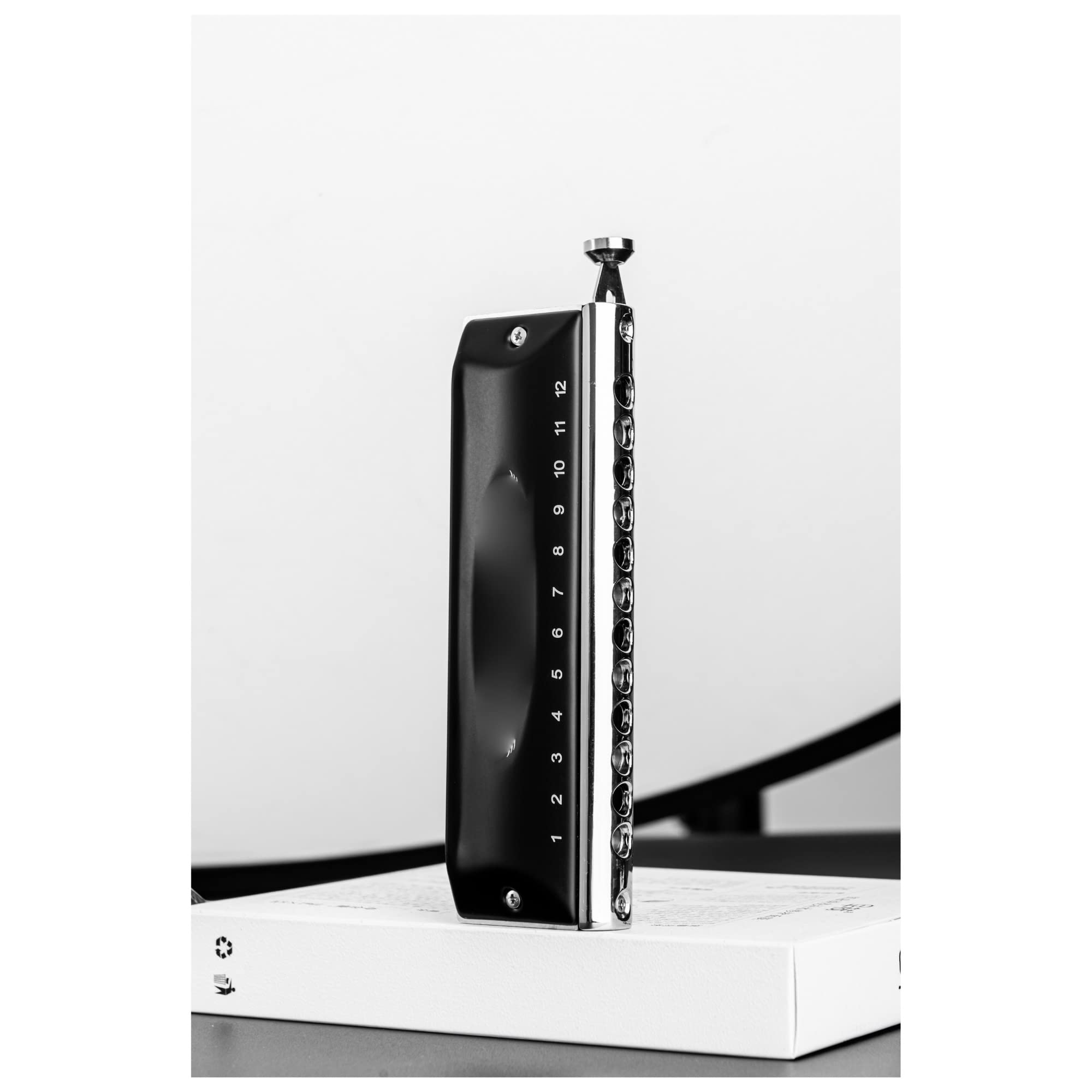 Profesjonalny Harmonijka 24 Otwory Tremolo Harmonica Key Of C Mouth Organ Dla Profesjonalistów I Studentów