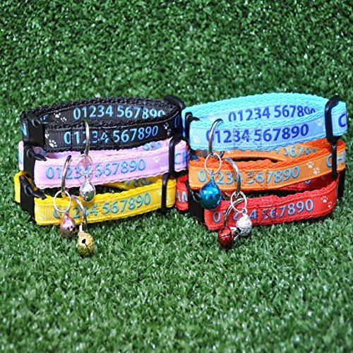 personalised cat collars amazon