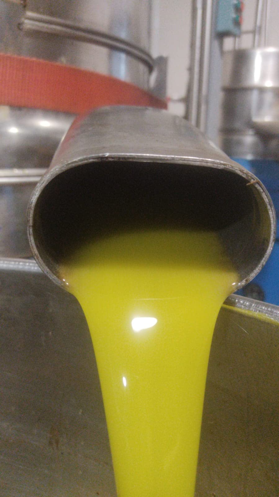Calamadrona, huile d'olive extra vierge récoltée à partir d'olives Arbequina 100% monoverietal, savourez cette huile douce au goût fruité et frais (5 litres)