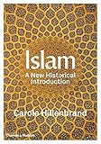 Islam: A New Historical Introduction