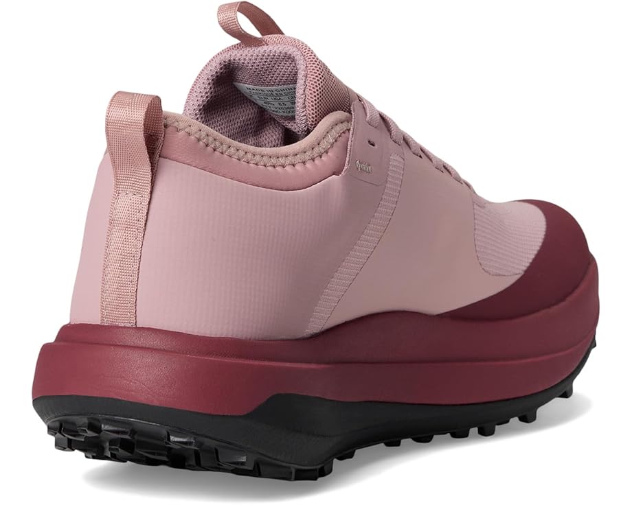 Arc'teryx Sylan GTX - Back View