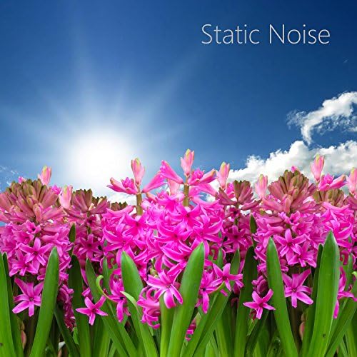 Amazon Music Static White Noise SoundsのStatic TV Sounds for Sleep