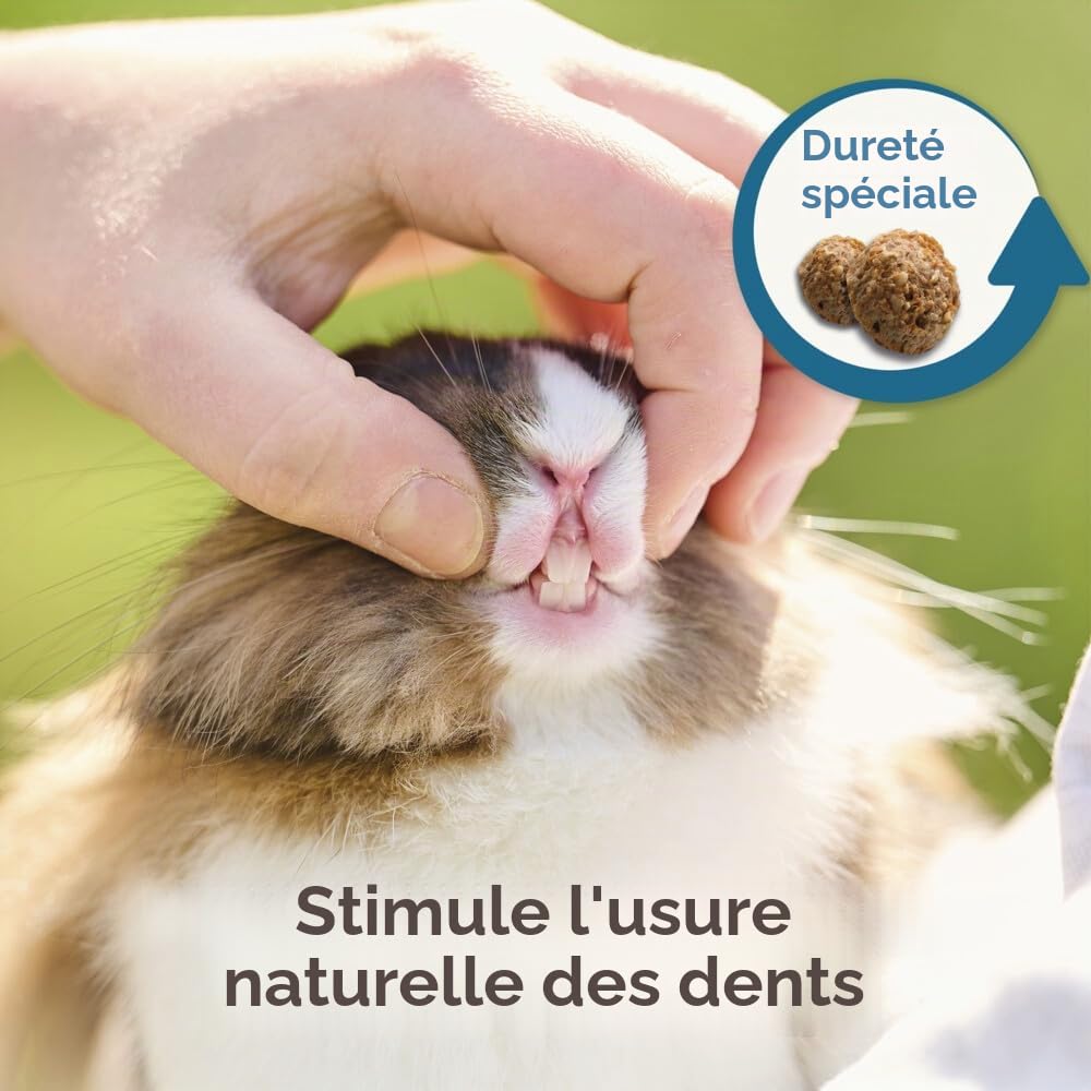 BEAPHAR – CARE+ – Alimentation Super Premium extrudée pour lapin junior – 25% de fibres – Appétent, sans sucre ajouté ni colorant – Haute digestibilité – Participe à l’usure naturelle de dents – 10 kg