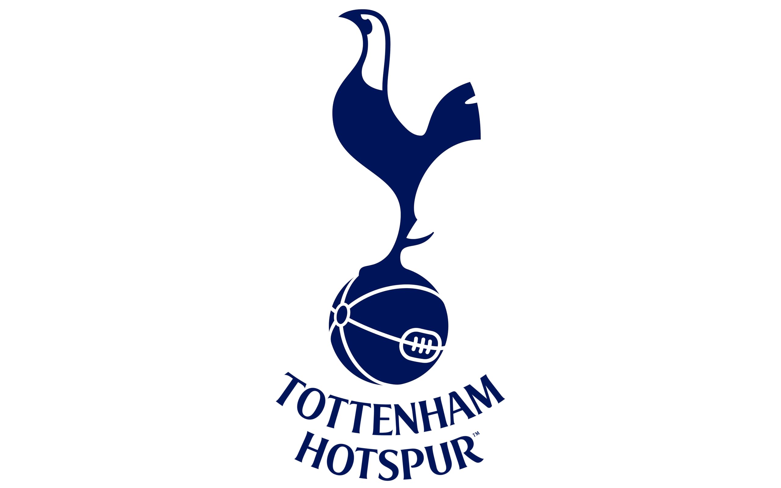 Tottenham Hotspur FC Gonk GNOME 33 cm Peluche Officielle Spurs Cadeau Noël
