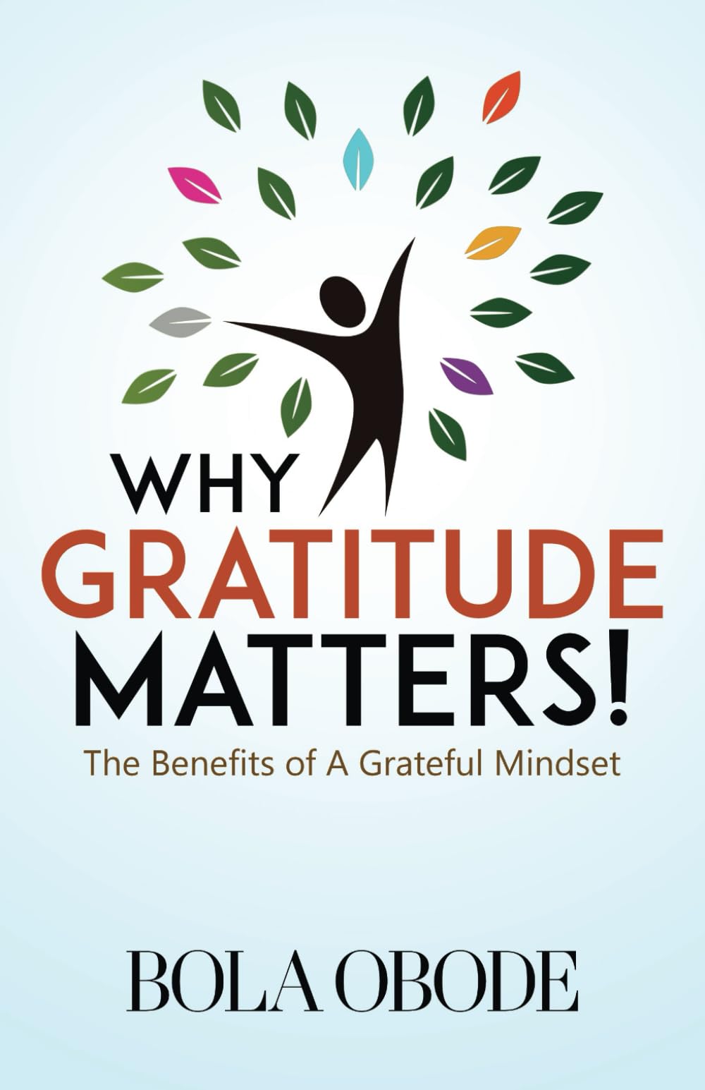 Why Gratitude Matters!: The Benefits of A Grateful Mindset