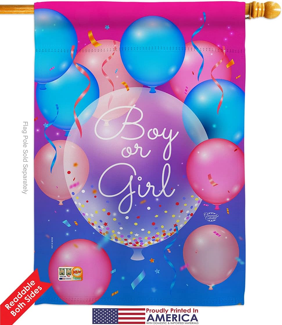 Boy Or Girl House Flag Celebration New Born Baby Shower Occasion Anniversary Party Small Decorative Gift Yard Banner Double-Sided Made In USA 28 X 40