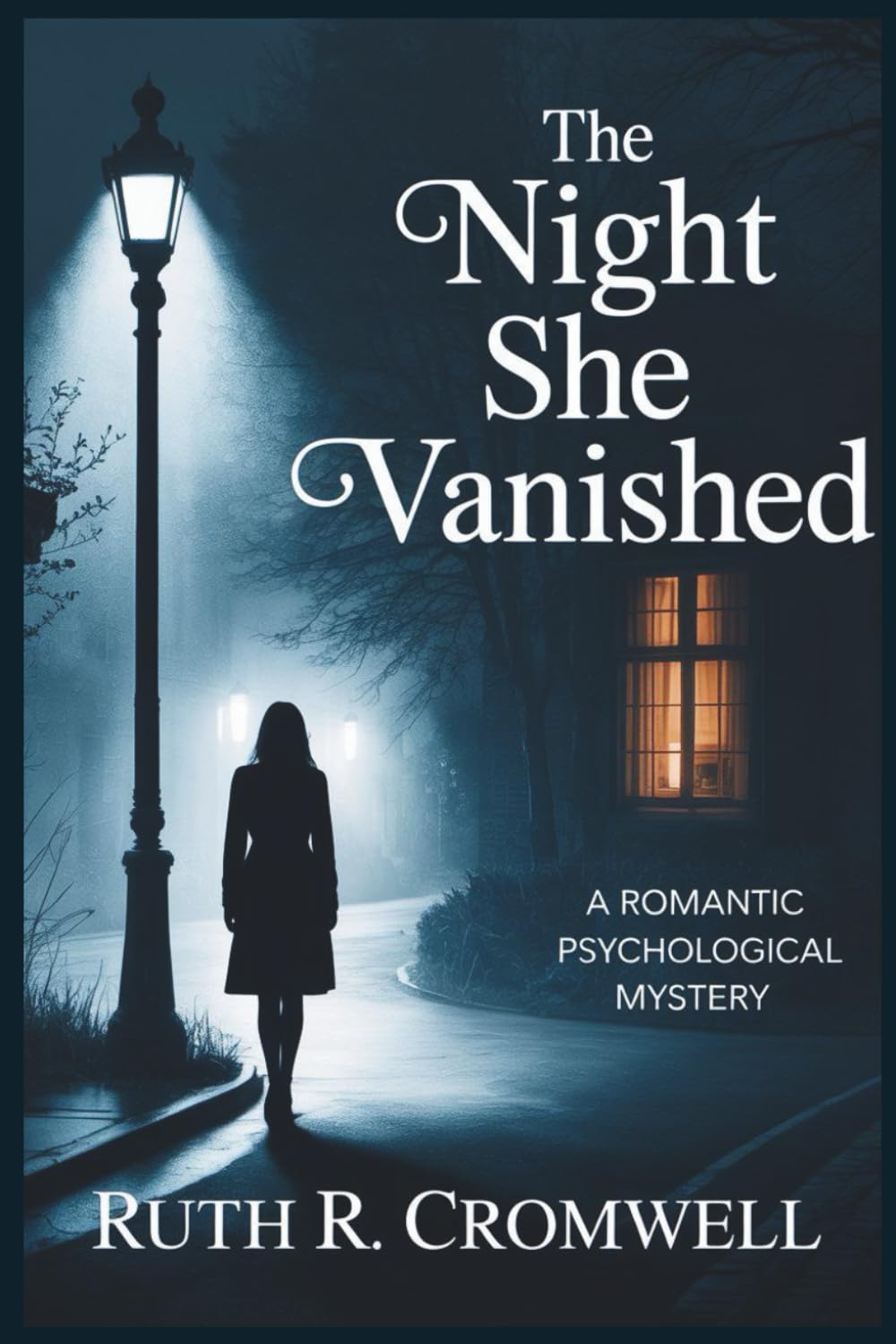 The Night She vanished: A Romantic Psychological Mystery