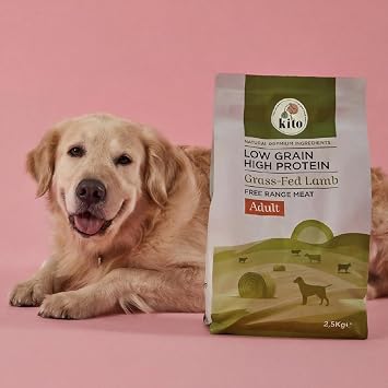 Kito Doğal Besi Kuzu Etli Yetişkin Köpek Maması 2.5 KG