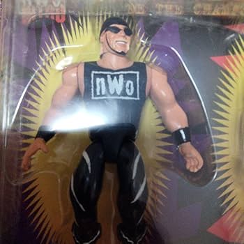 WWE WCW nWo ハルク ホーガン ナッシュ　プロレス フィギュア WWE WCW nWo ハルク ホーガン ナッシュ ホール プロレス