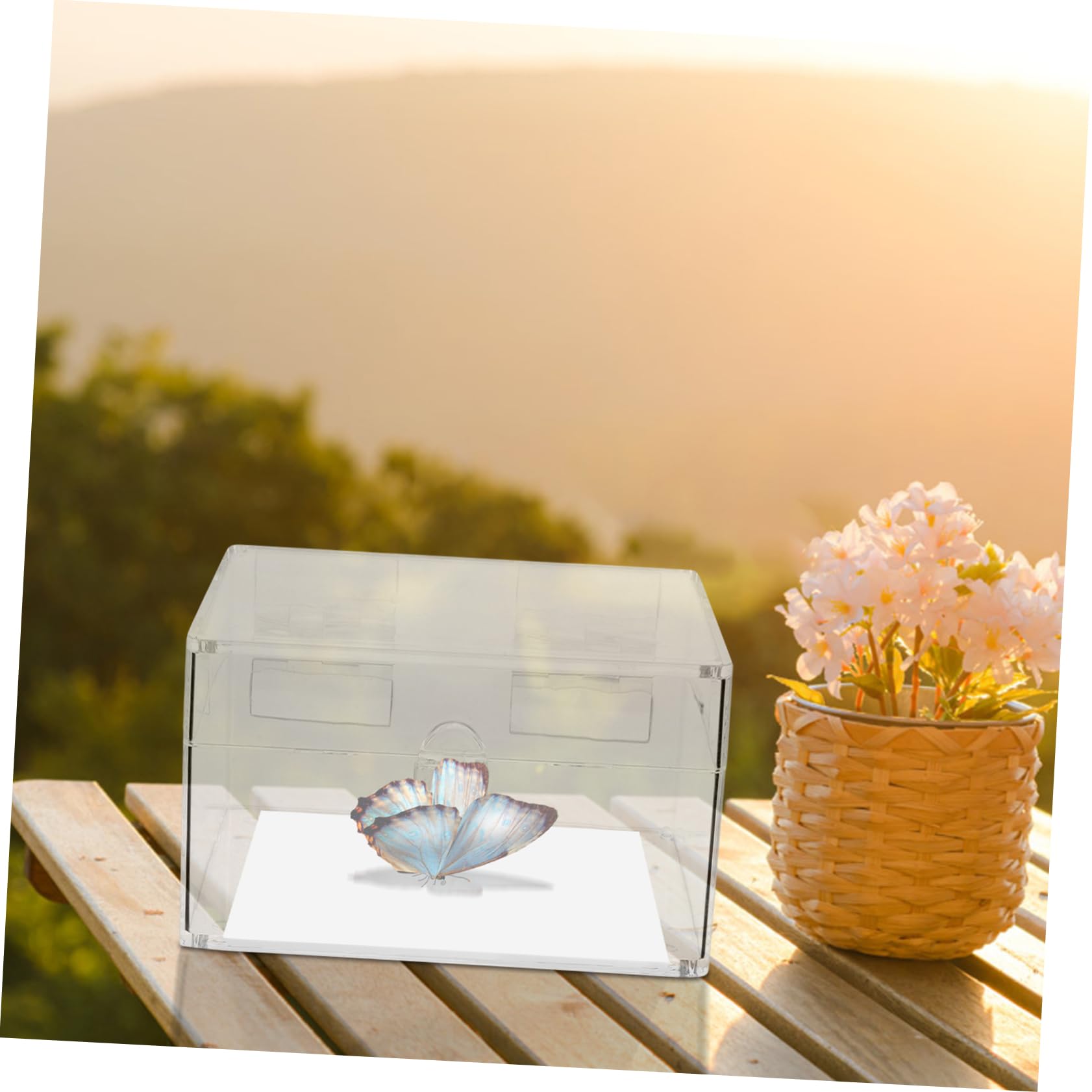 PRETYZOOM Kasten Eva Pin Pad Insektensammlungsbox Insekten Präsentationspad Insekten Sammler Zubehör Insekten Aufbewahrung Schmetterlings-Ausbreitbrett Schmetterlings-Anzeigetafel Weiß Bürobedarf & Schreibwaren