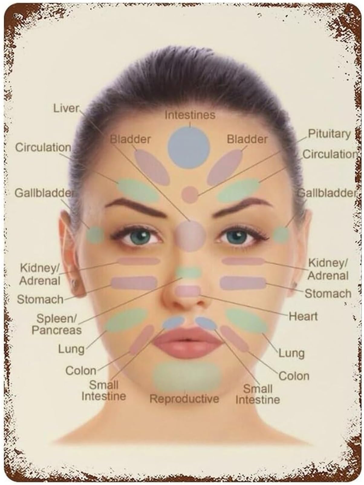 EKFBQBGW Retro Facial Chart Metal Sign Vintage Wall Plaque for Esthetician Spa Skincare Studio Salon Decor 8 X 12 in