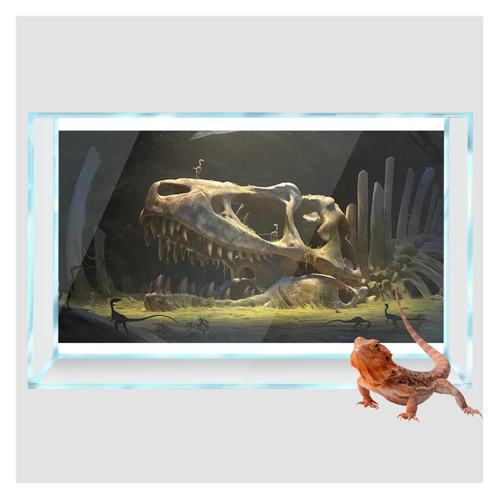 Aquarium Rückwandfolie Reptile Habitat Hintergrund Dinosaurier Knochen Wüste Tapete Aquarium Dekorationen PVC(50x80cm)
