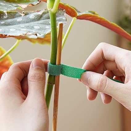 GARDENBASICS Plant Ties Reusable, Adjustable, Gentle Plants Supports for Effective Growing Multi-Use Support Tie Tape for Gardening, Wire Organizer, Cable Management (1 MTR x 12 MM - 5 Roll) Green