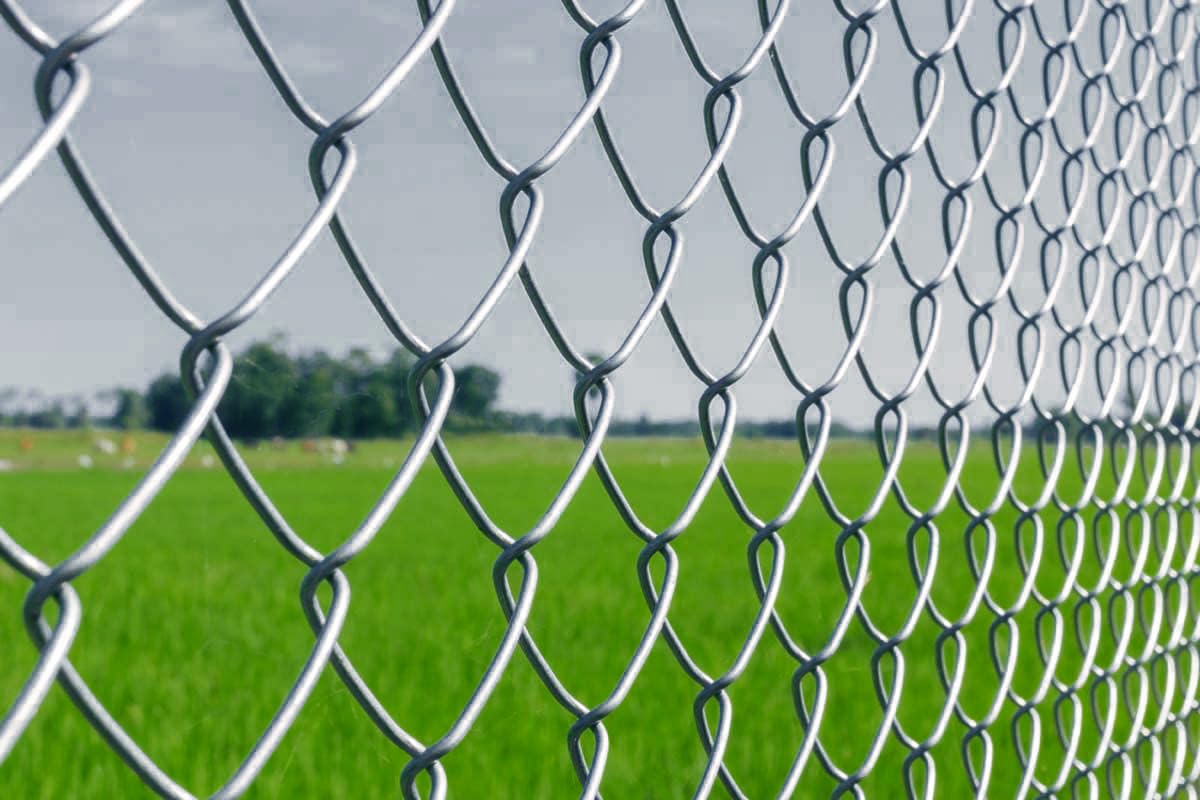 Chain Link Fencing Net For D Fence Alloy Steel Wire, Thickness 3 MM, 10 Gauge Wire”4x4” Inch Block Size, Rust-Proof, Heavy Duty Fence for Farm, Garden, Home, (7 Feet Height, 50 Feet Length)-image-49