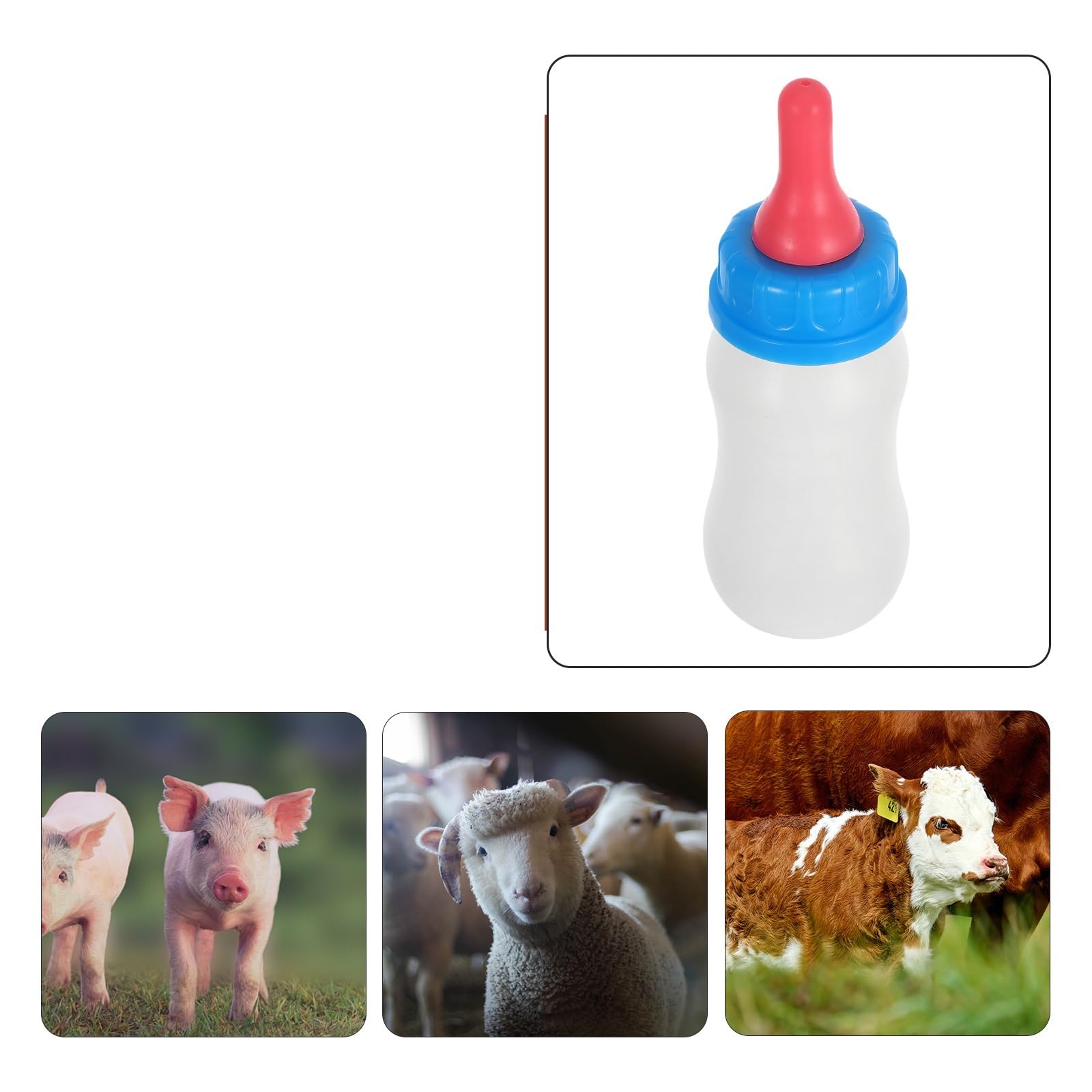Butelki do karmienia jagniąt, Butelka na mleko, butelka do karmienia małych zwierząt, wielokolorowe opakowanie 4 sztuki(White)