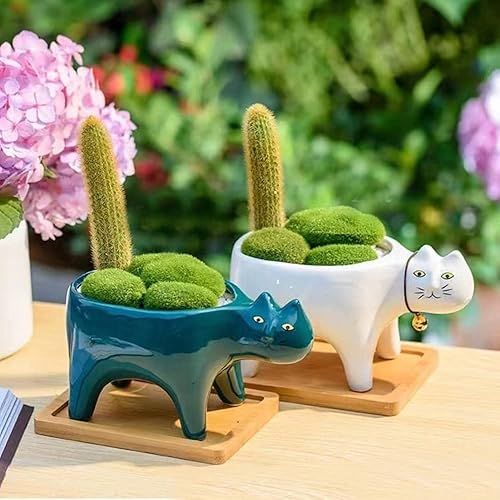 Miniatura 3 de 123Arts Maceta de cerámica con forma de gato, 2 piezas, maceta suculenta, adorno