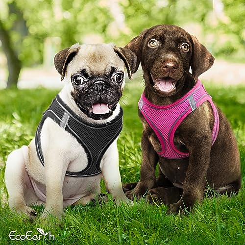 Hundegeschirr + Leine - Klein, Schwarz - Weich gepolstert + Zugfreies Design Haustiergeschirr + Reflektierende Streifen für kleine Hunde - von EcoEarth