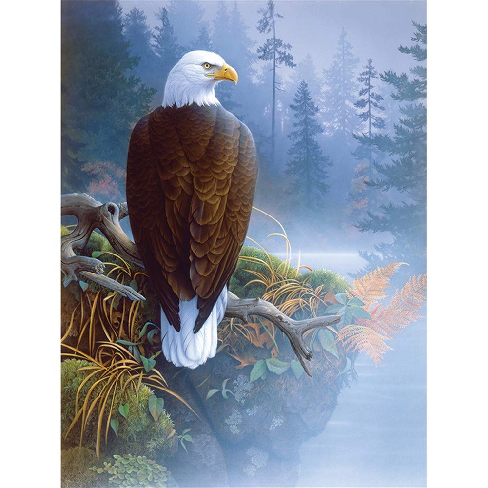 Broderie diamant aigle complet 60x80cm avec strass ronds brillants pour point de croix