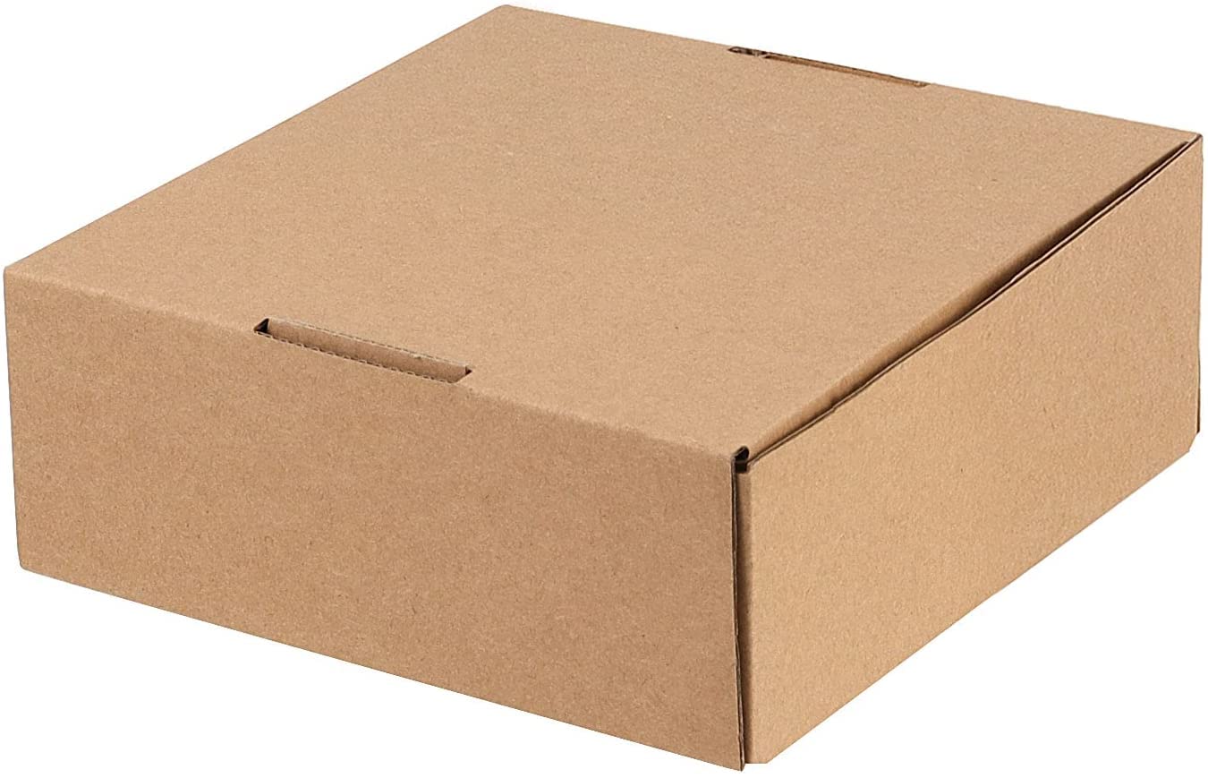 HAKZEON Lot de 100 Boîtes en Carton 100 x 100 x 51 mm, Petites Boîtes d'Expédition Marron pour Le stockage, Le transport, L'expédition, L'emballage