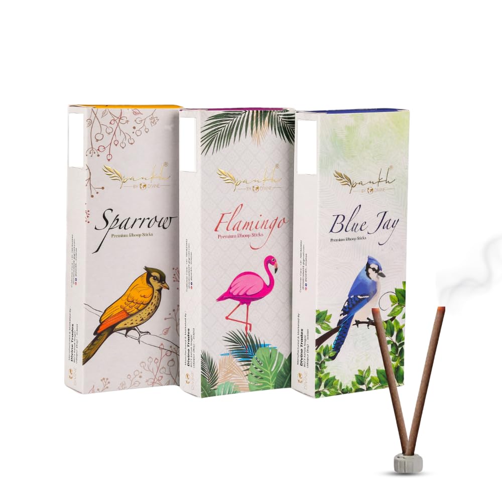 Pankh By Divine Bambooless Incense Sticks - Premium Dhoop Batti with Natural Wood Powder, Long-Lasting Slow Burning Dhoop for Pooja,Temples,Yoga & Home Use,Pack of 3 (70-75 Sticks) with Rich Fragrance (B0D4Z69YBW) Amazon Price History, Amazon Price Tracker