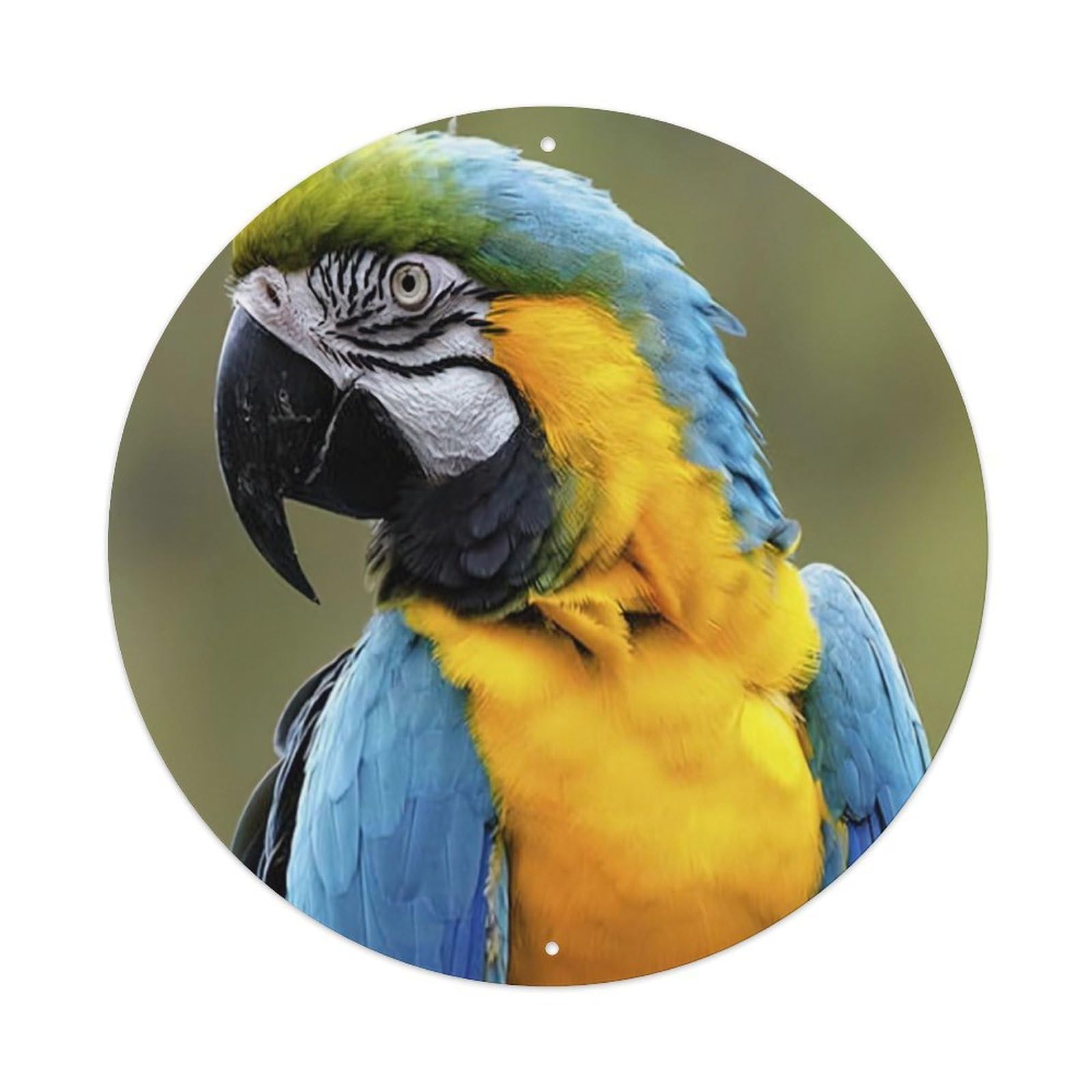 Animal Birds Artwork Macaw Vintage Metal Tin Sign Plaque Wall Decor for Cafe, Club Bar, Office, Garden Metal Poster 8x8Inch