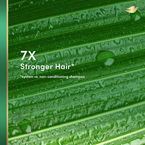 Dove Re+Al Bio-Mimetic Care Shampoo For Damaged Hair Repair Coconut + Vegan Keratin Sulfate-Free Coconut Shampoo 10Oz thumb #3