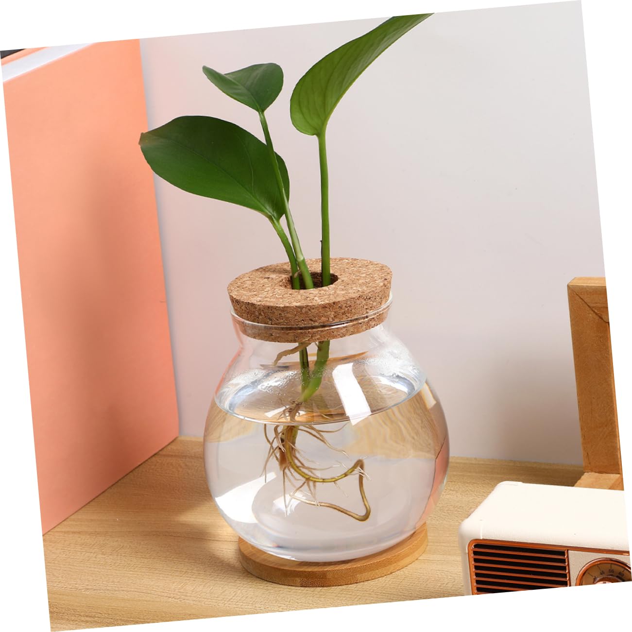 Sosoport 2sätze Glasterrariumbehälter Für Hydrokulturpflanzen Pflanzwasserstation Mit Blumenarrangementhalter Für Desktop-anzuchtstation Glasblumenvase Als Blumenpflanzer