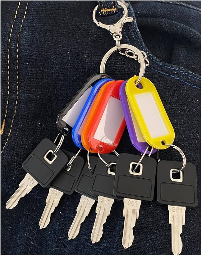 Amazon.com: badogrio 961 Ignition Keys Compatible with Ditch