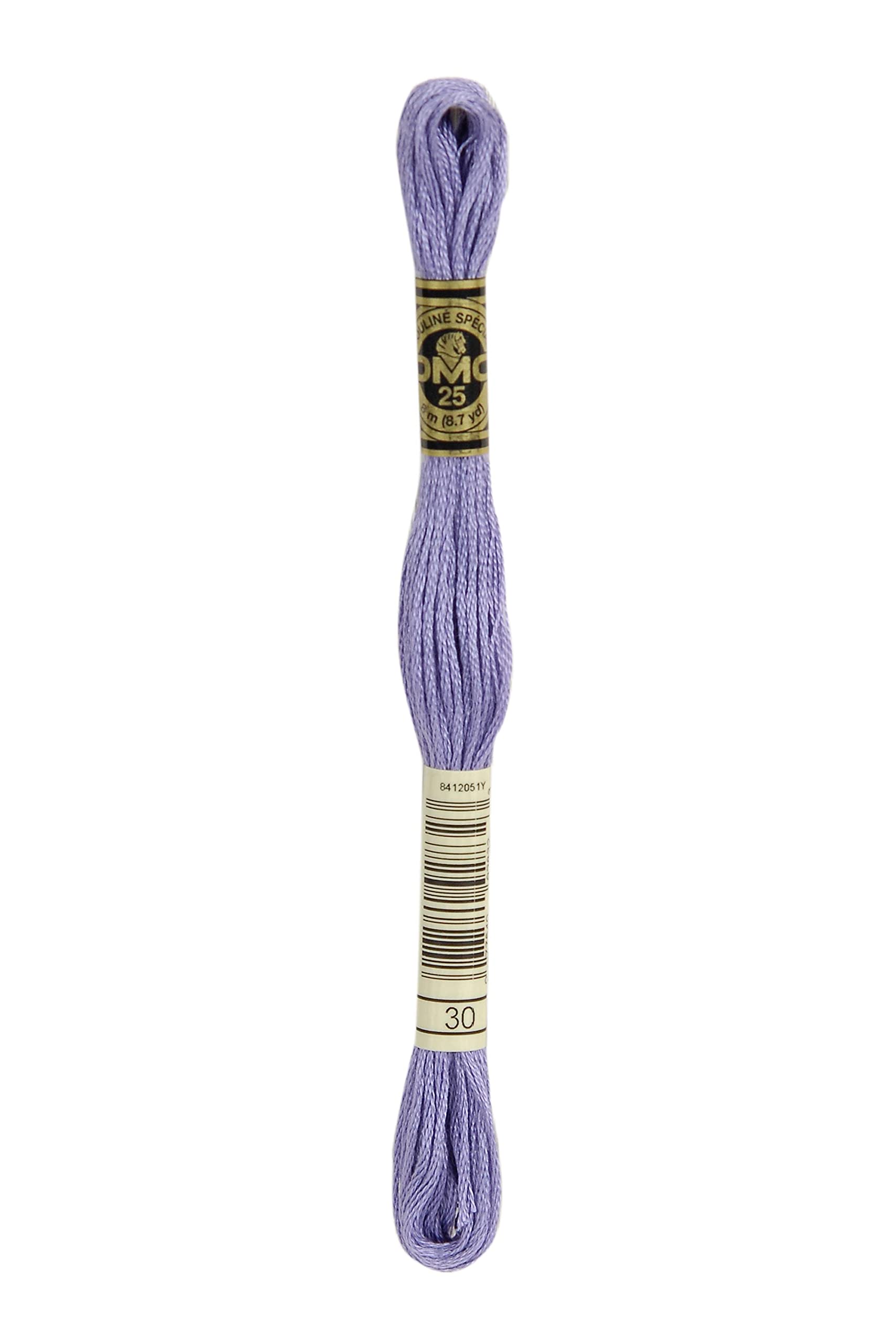DMC 6-Strand Embroidery Cotton 8.7Yd-Medium Light Blueberry