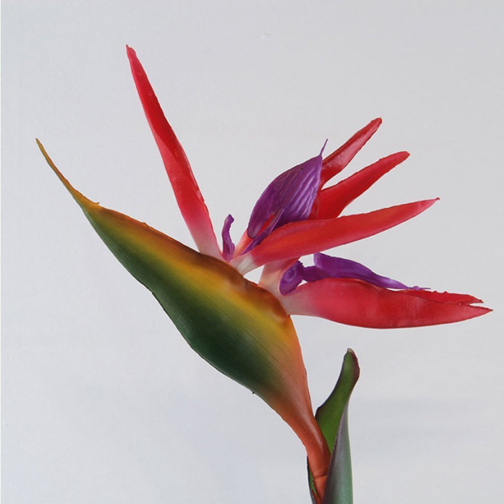 Amazon.de: Good01 Knstliche Paradiesvogel, Seide, Strelitzia Reginae,  Heimdekoration (rot)