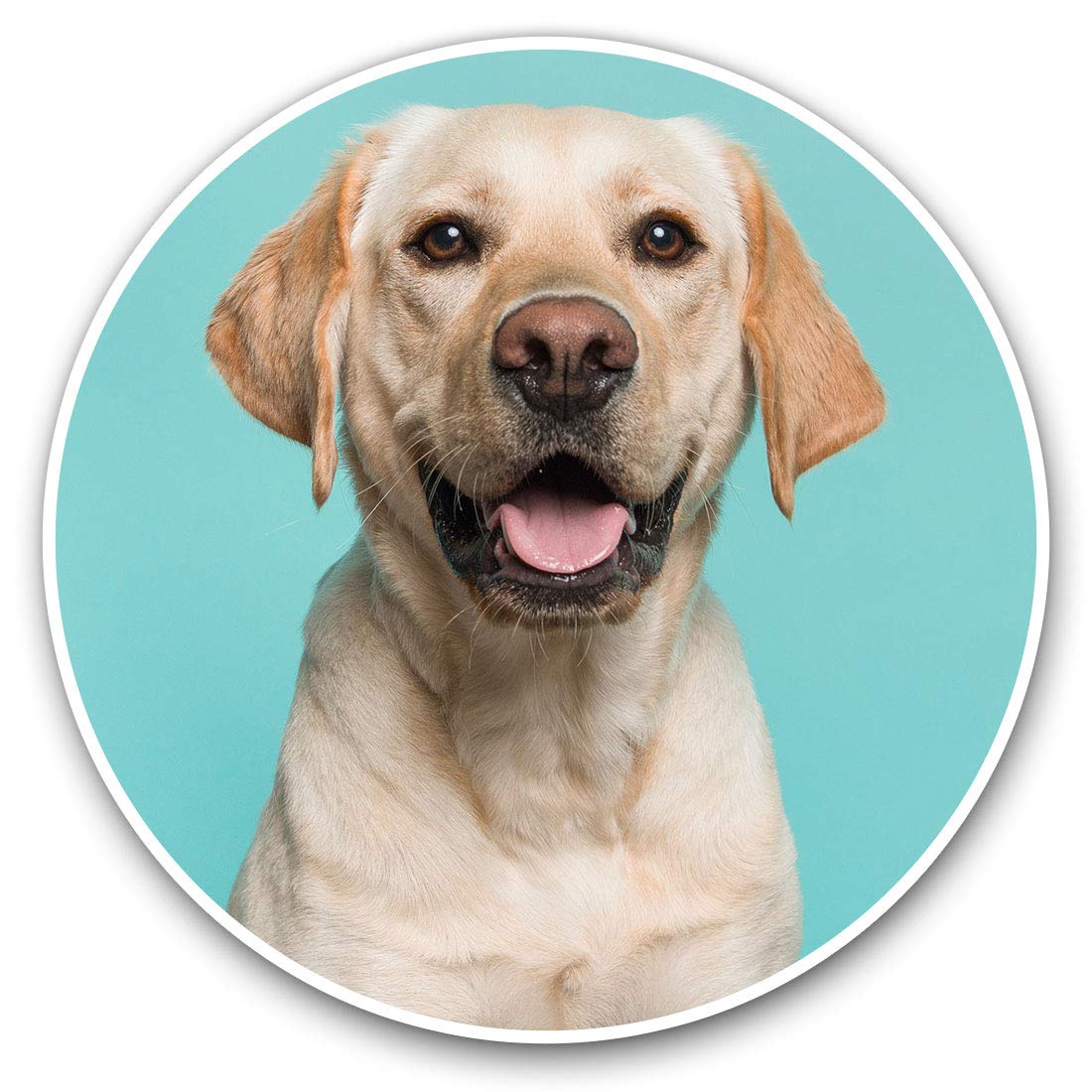 Destination Vinyl Ltd Blonde Labrador Retriever Dog 21245 Vinyl Stickers (Set Of 2) 25Cm - Blonde Labrador Retriever Dog #21245