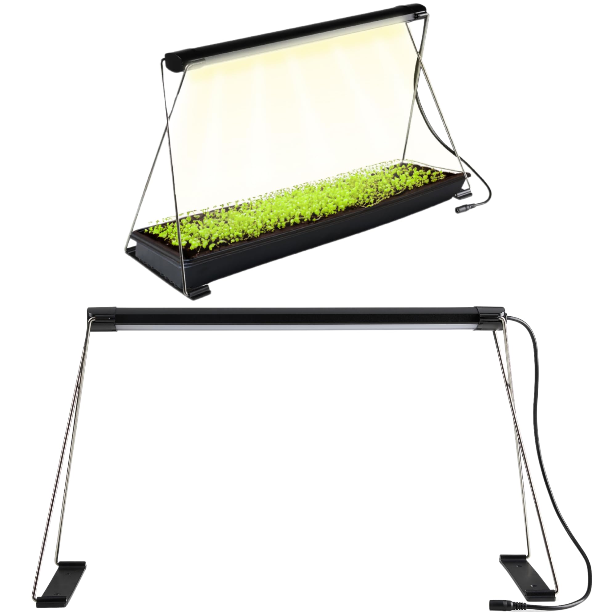 Amazon.com : Epic Gardening Seed Starting Grow Light – Full