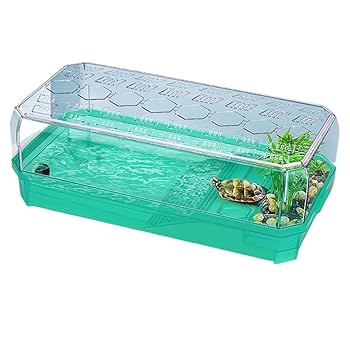 かめ！ページです。 51CbhQ1103L._UF350,350_QL50_.jpg