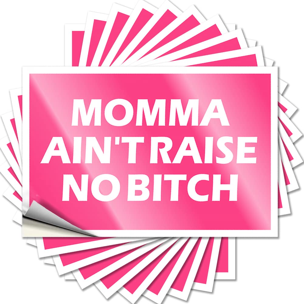 Car Stickers Funny Momma Ain't Raise No Bitch Funny Sticker 10 Pcs Decor for Man Cave Stickers for Cars(8X12CM)