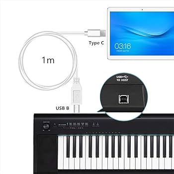 Amazon.co.jp: Access 【100cm】MIDI USB 変換ケーブル USB B to C