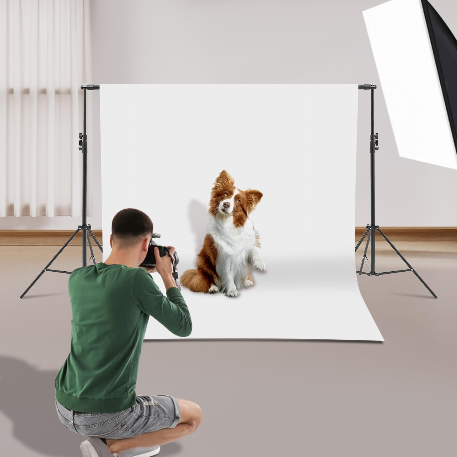 Soporte para fondo, soporte para fondo, 2 x 3 m, sistema de fondo ajustable con 6 clips y 6 cuerdas elásticas, bolsa de almacenamiento, 2 sacos de arena, para fotografía y vídeo retrato
