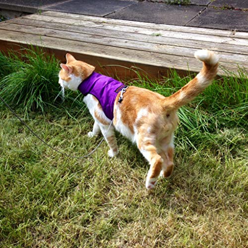 Mynwood Cat Jacket/Harness Purple Kitten Up To 8Month #TOP3