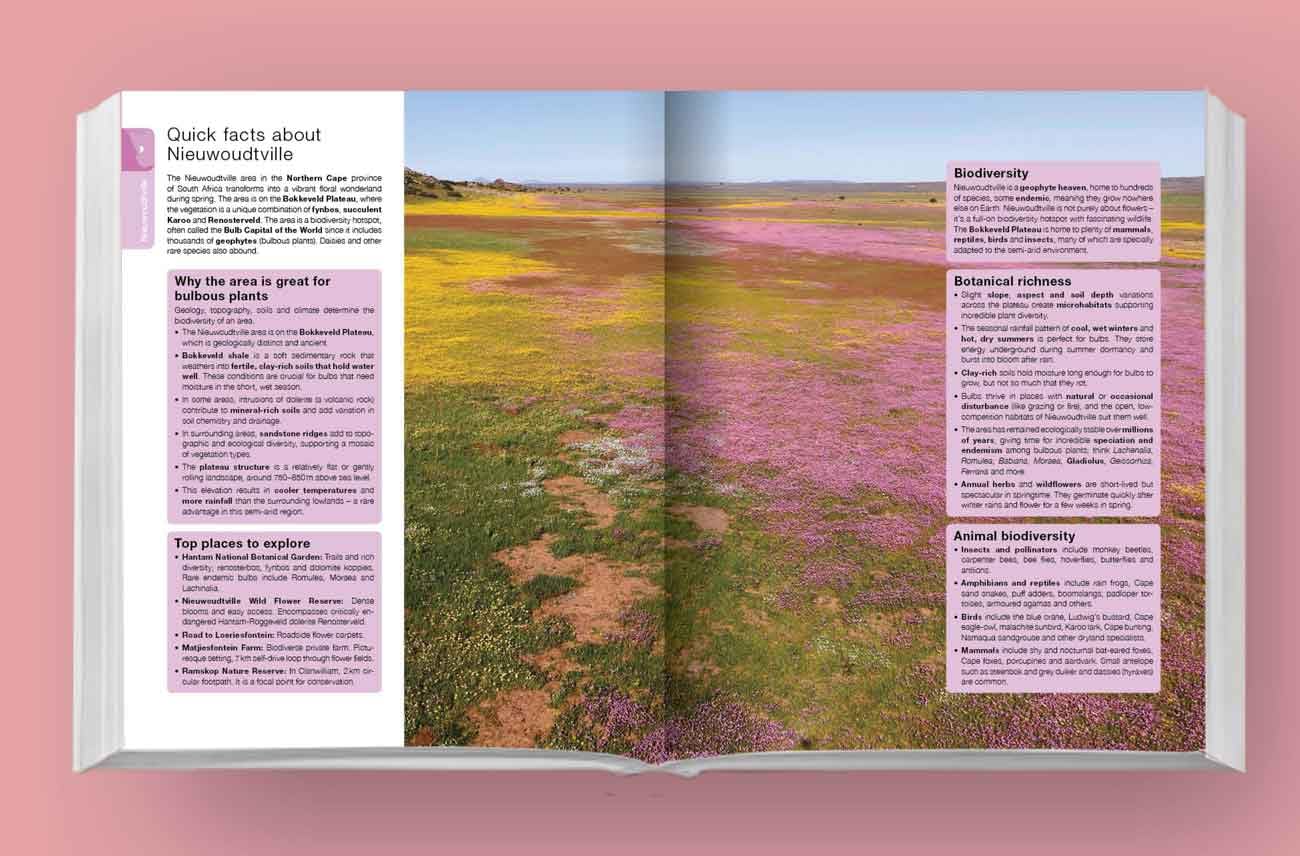Namaqualand Self-Drive: Namaqualand, Nieuwoudtsville & West Coast