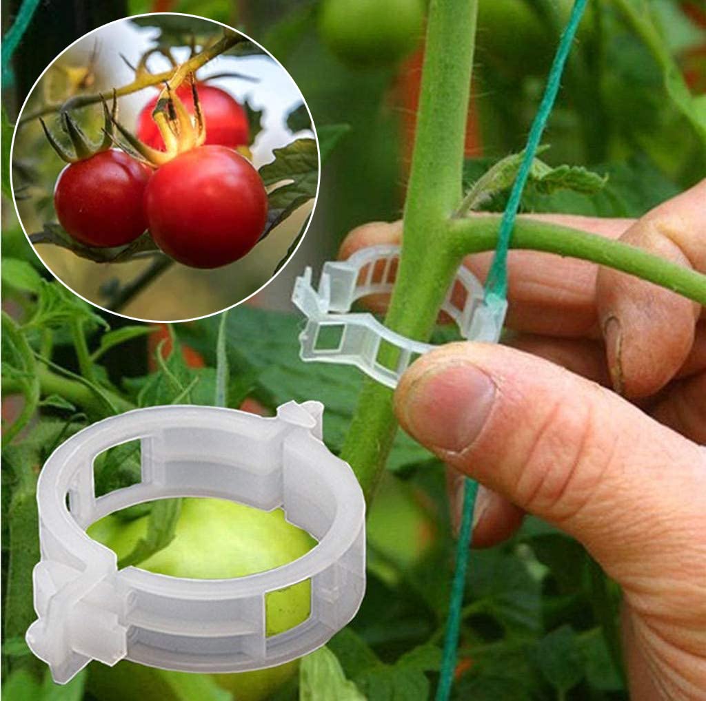 Photo 1 of 2 pack - ASTVSHOP 150 Pcs Tomato Clips for Plants,Plant Support Garden Clips, Garden Vine Clips,Tomato Trellis Clips for Vine Vegetables Tomatoto Grow Up Right and Make Plants Healthier (150pc)