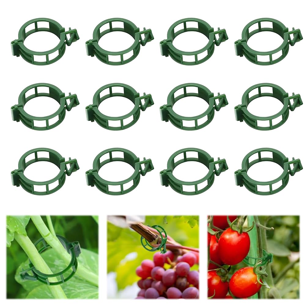 100 Stück Pflanzenstützclips für Kletterpflanzen, wiederverwendbare Kunststoff-Spalier-Clips für Tomaten, Weinreben, Gemüse, Gartenbefestigungsclips (100, grün)