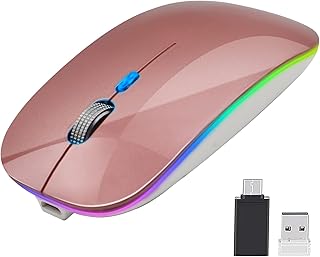 VEGCOO Rechargeable Wireless Mouse, Silent Computer Mouse, 2.4G Stable Wireless Mouse with LED Light, Portable Type-C Mouse for Windows, Mac, Laptop, Desktop, MacBook (Rose Gold)