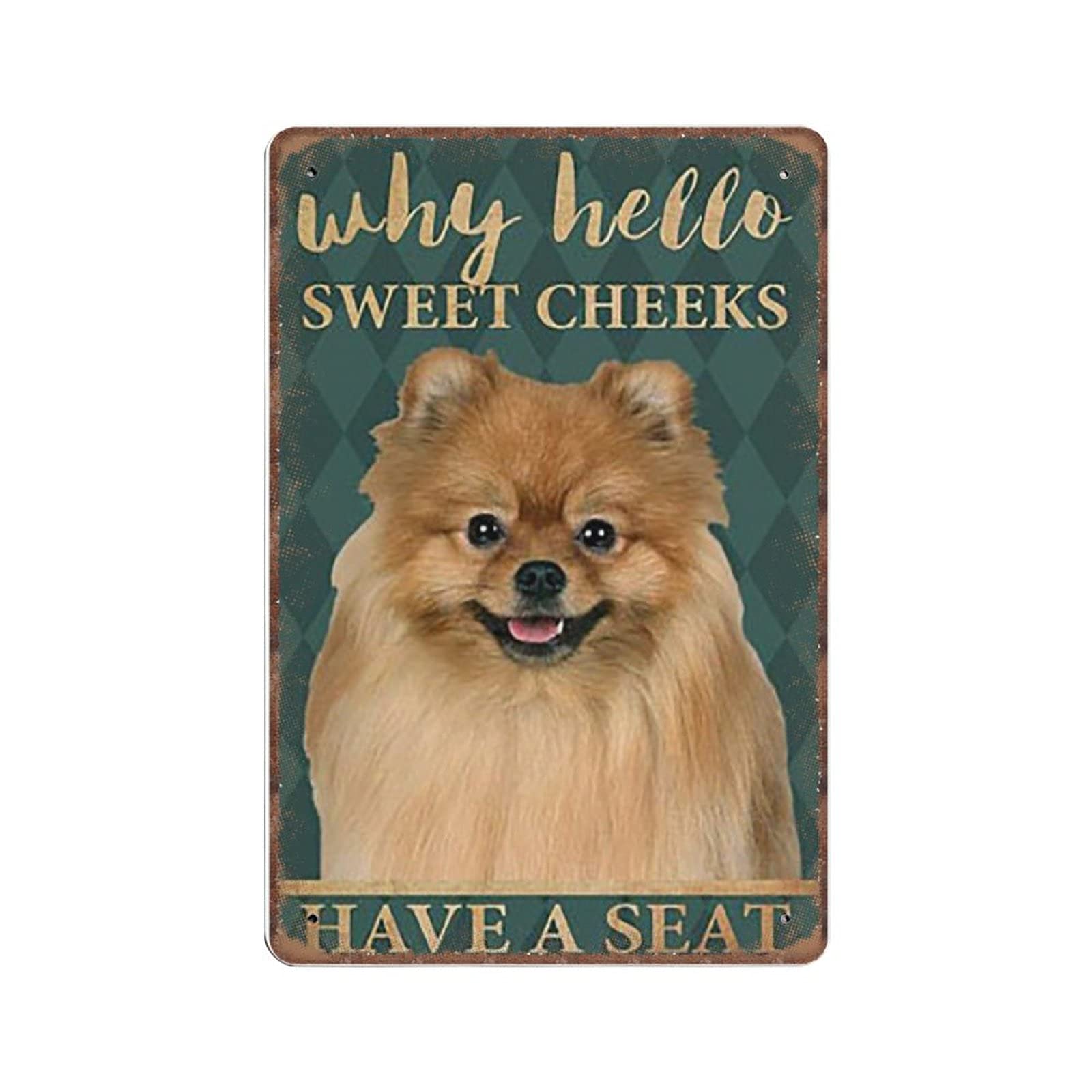 rayprint Pomeranian Why Hello Sweet Cheeks Have A Seat Tin Signs Funny Vintage Metal Sign Plaqu Poster Wall Art Pub Bar Kitchen Garden Bathroom Home Decor, 20x30 cm