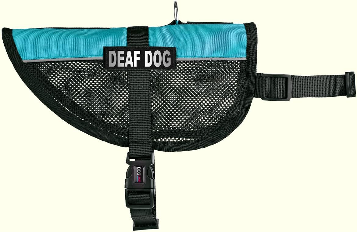 Dogline MaxAire Mesh Vest for Dogs and 2 Removable Deaf Patches, 17"-21", Turquoise