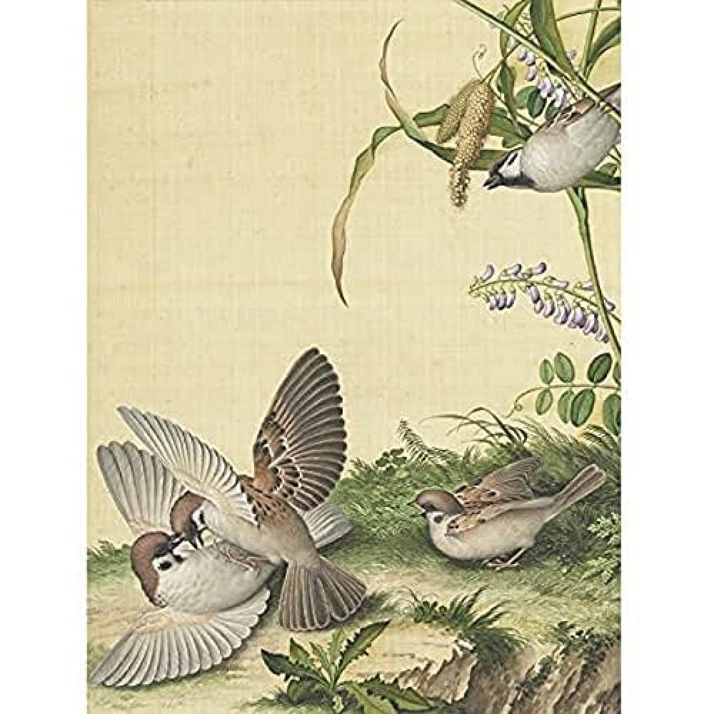 Castiglione Wisteria Plant Birds Painting Art Print Canvas Premium Wall Decor Poster Mural