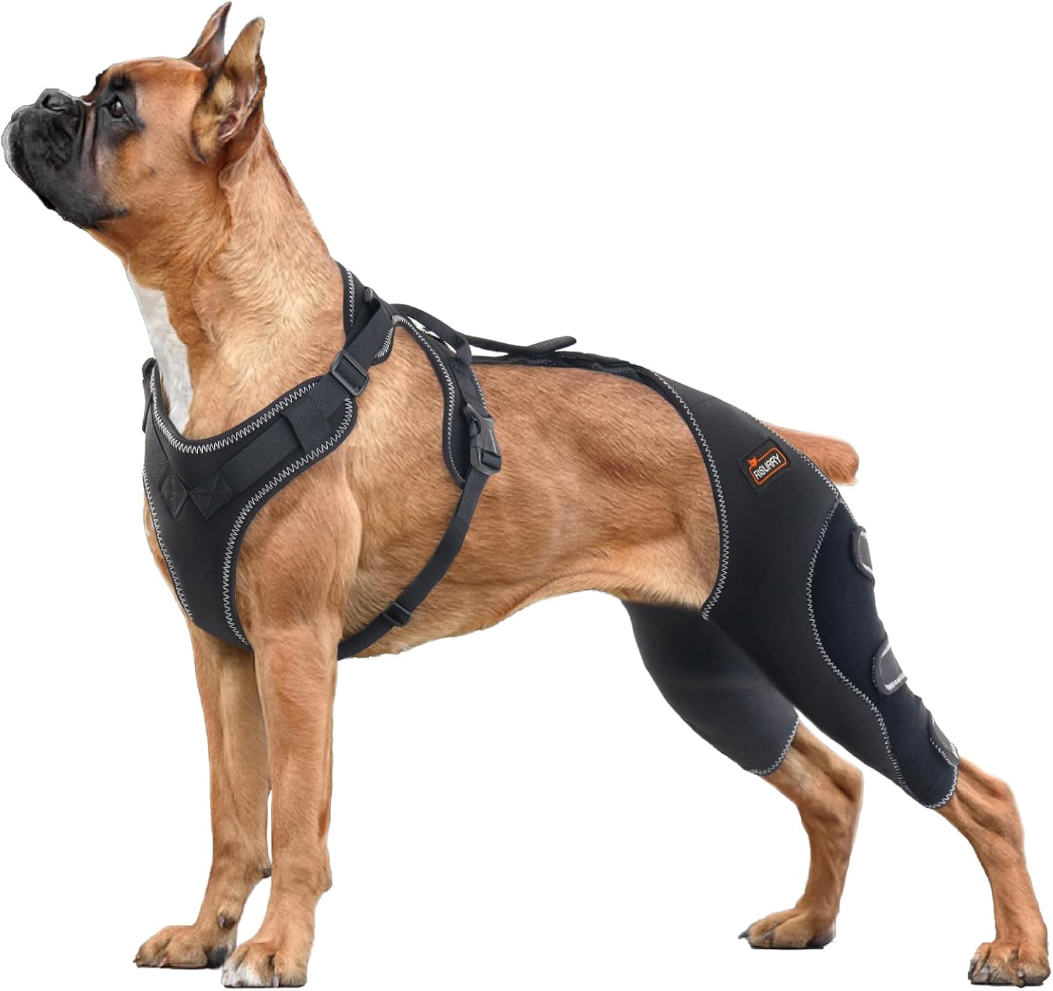 RISURRY/CHAMIN Dog Leg Braces for Back Leg, Dog Acl Knee