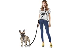 Zeedog Hands Free Dog Leash: Experience Limitless Adventure with Your Furry Friend