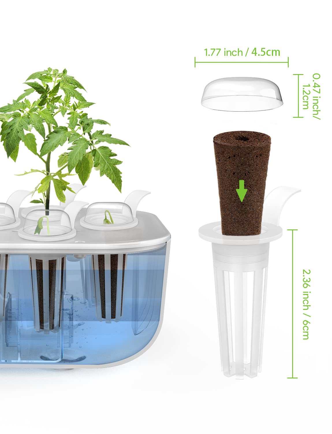 12 Éponges De Culture Hydroponique - Tourbe De Sphaigne - Pour Germination Graines - 5.5cm